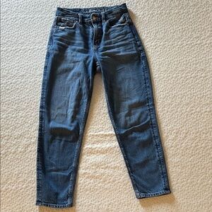 American Eagle Outfitters Dark Blue Ankle Jeans